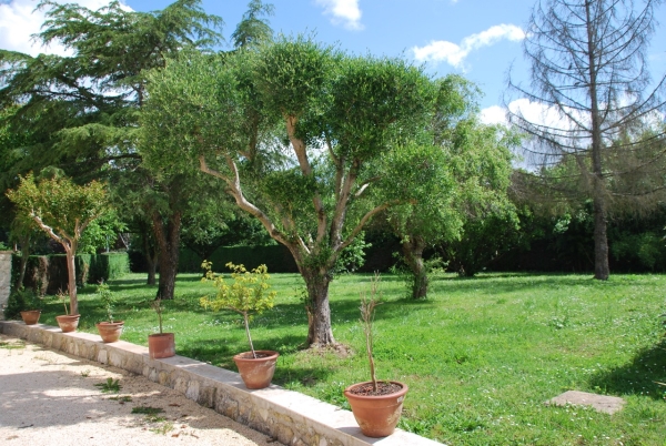 Propriété avec accès au Lot, piscine et maison d’amis