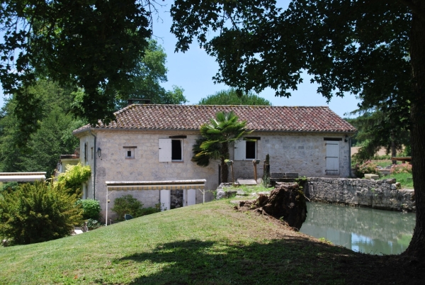 Magnificent mill with a lake