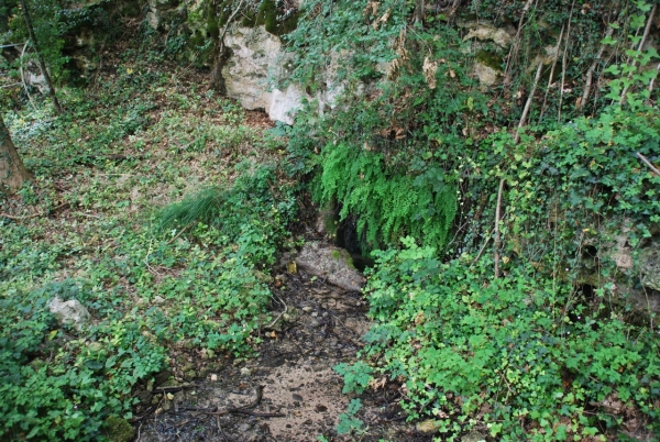 Huisje op het platteland met zwembad en 3ha grond