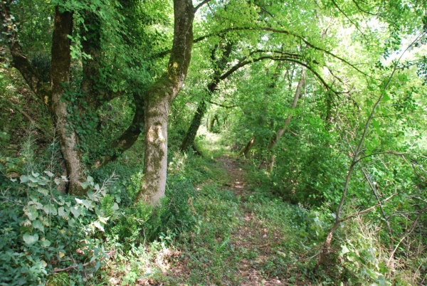 Maison de campagne avec piscine et 3ha de terrain