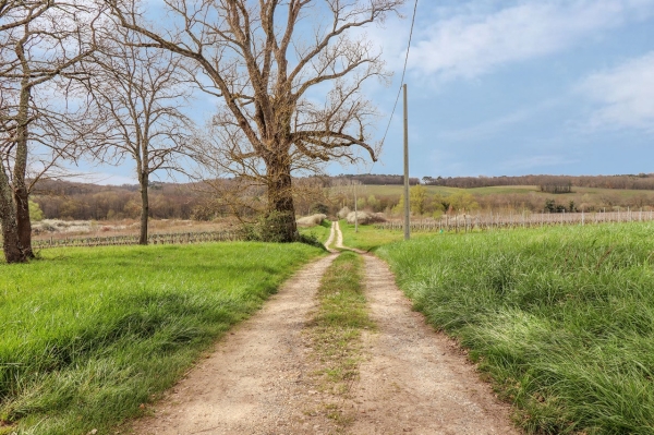 Paradis caché au milieu des vignes