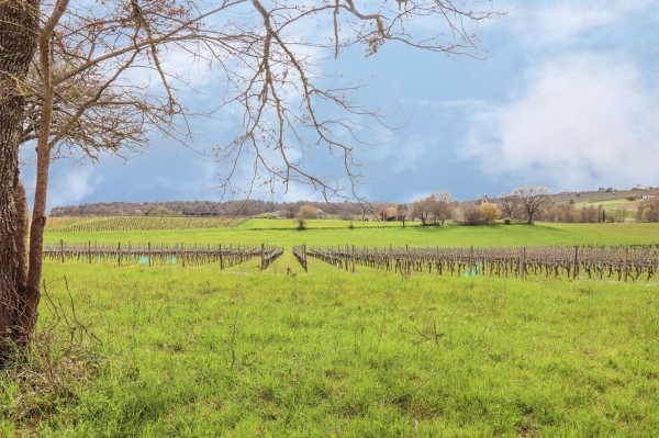 Paradis caché au milieu des vignes