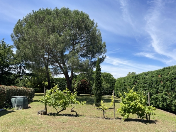 Maison tout confort en bordure du Lot