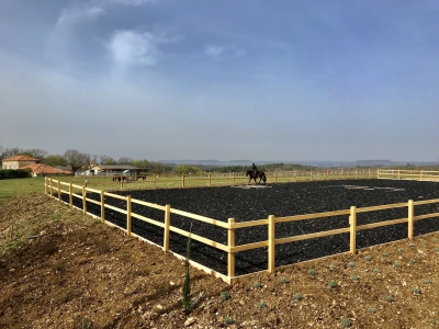 Property with 11,5 ha land ( perfect for horses)
