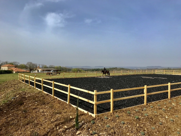 Renovated stone house, stables and 8 ha land