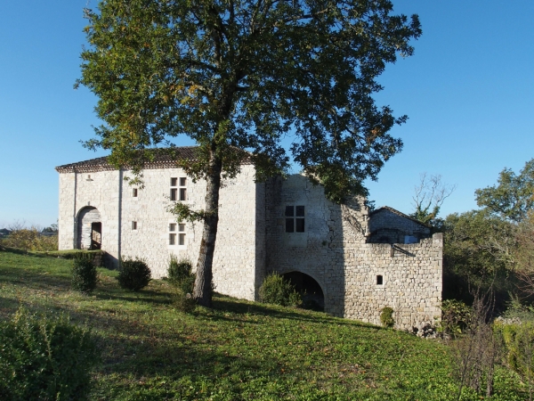 Château à restaurer