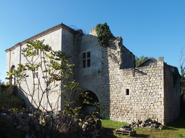 Château à restaurer