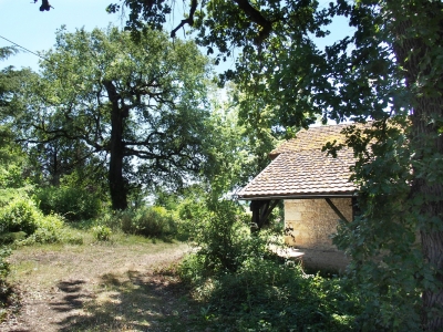 Ancienne maison en pierre avec grange et beau parc