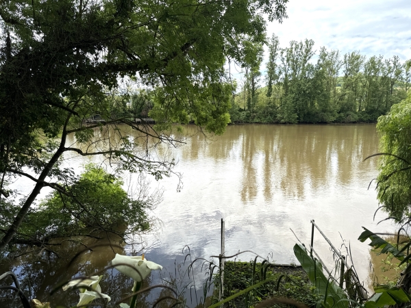 Propriété avec accès au Lot, piscine et maison d’amis